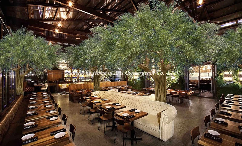 olive tree olive tree