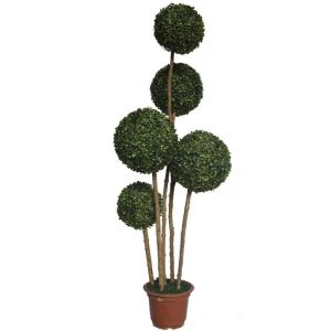 কৃত্রিম ঘাস বল Topiary গাছ